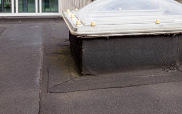 disadvantages of Ramasaig flat roofs