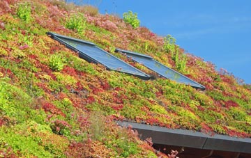 Ramasaig living roof systems