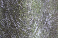 Ramasaig fibreglass roof work